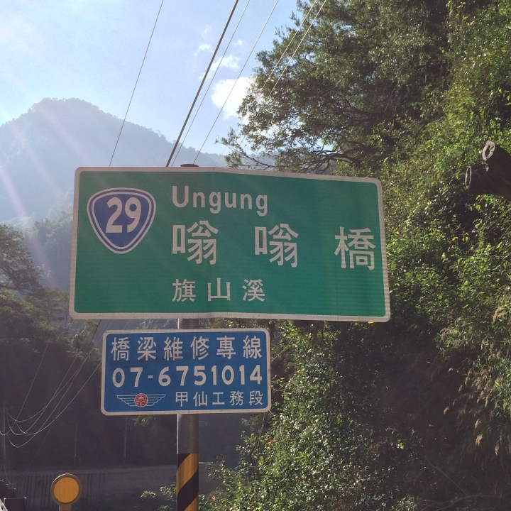 11/7、11/8阿里山 塔塔加,每次上阿里山回程都好累呀