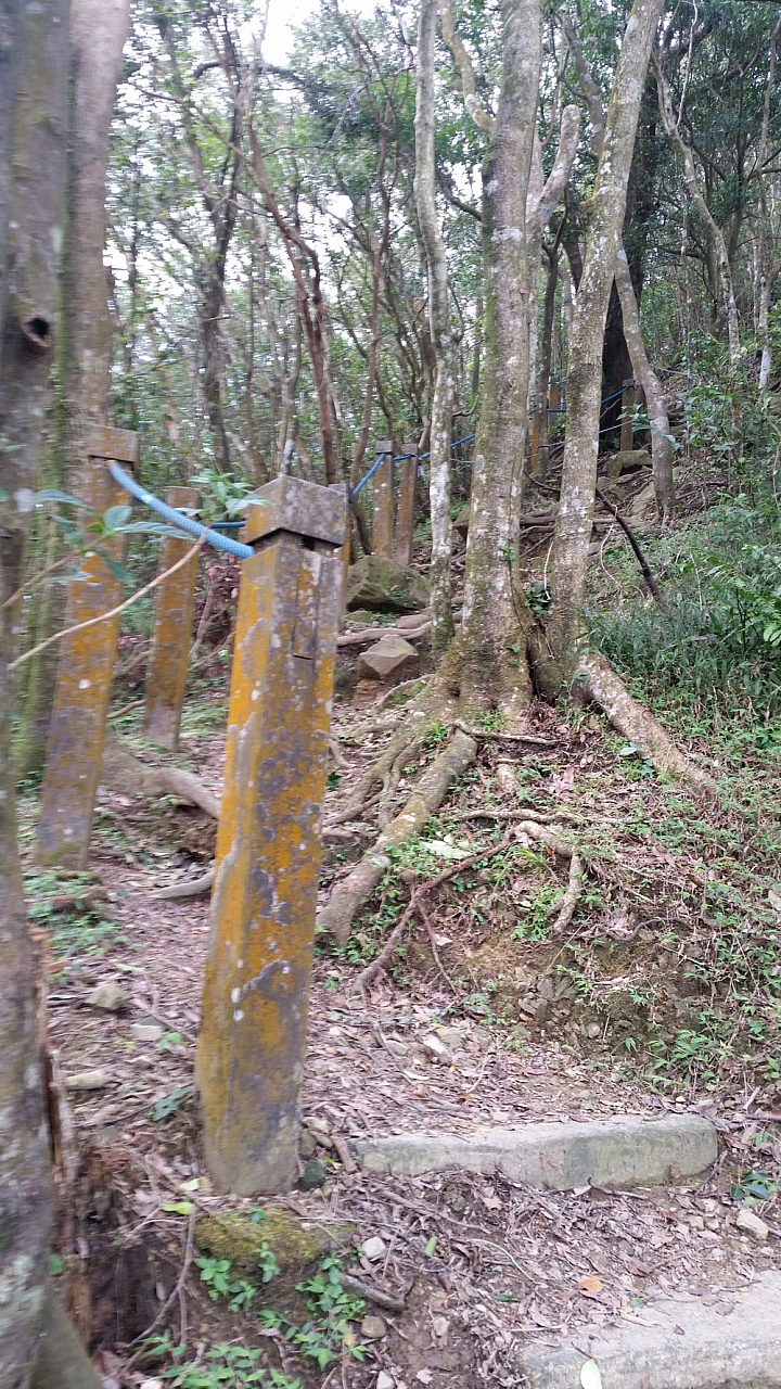 【路線分享】新店 獅仔頭山(獅頭山) 單車騎上登山口 + 步行攻頂