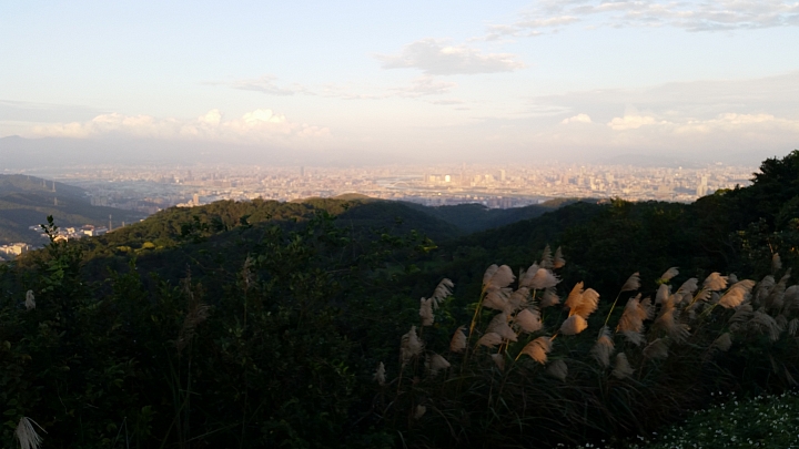 【路線分享】龜山/樹林 交界的 大棟山 405三角點 (德和路 → 大棟山)