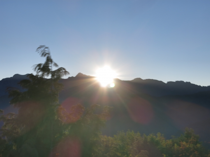 11/7、11/8阿里山 塔塔加,每次上阿里山回程都好累呀