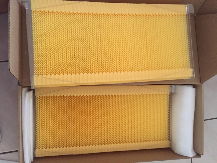 【開箱文】蜜蜂的新玩具