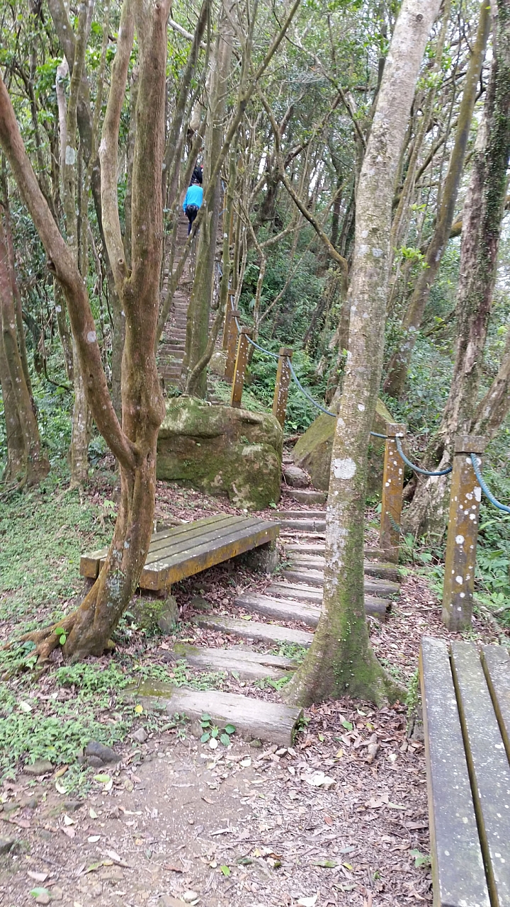 【路線分享】新店 獅仔頭山(獅頭山) 單車騎上登山口 + 步行攻頂