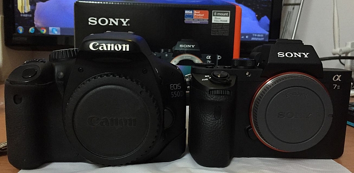 C頭S身 550D 換a7m2 心得分享