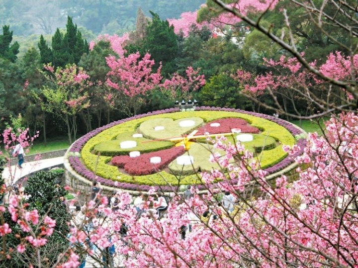 上山上山~唉 陽明山花鐘卻讓我花轟 (沒日沒夜)
