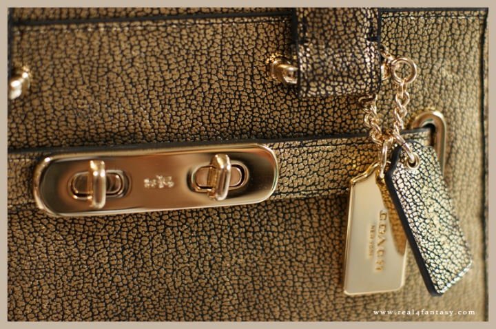 COACH 耶誕限定款 SWAGGER
