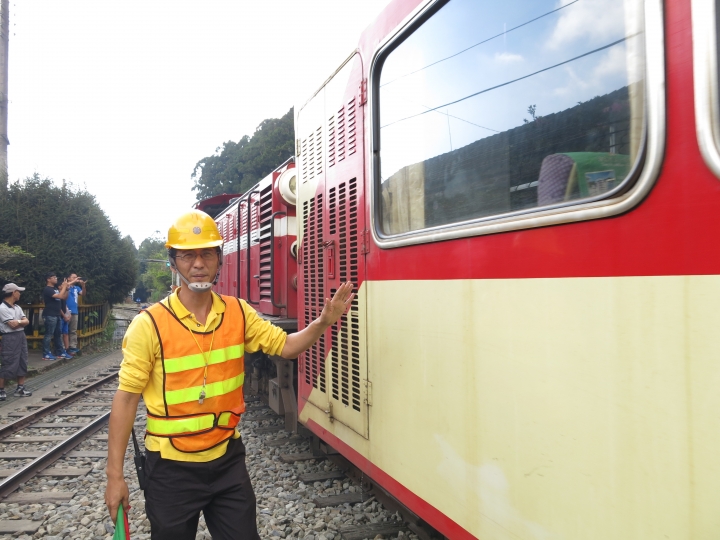 11/7、11/8阿里山 塔塔加,每次上阿里山回程都好累呀