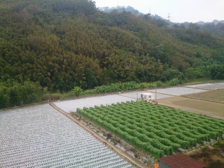 出發吧~~~苗栗仙山一日遊!