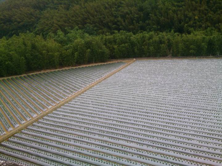 出發吧~~~苗栗仙山一日遊!