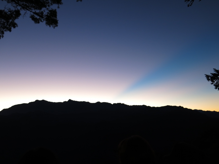 11/7、11/8阿里山 塔塔加,每次上阿里山回程都好累呀
