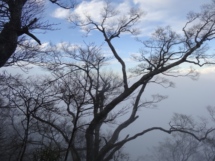 2015.11.04-05福壽山+太平山的追楓尋毛行(圖多請等候)
