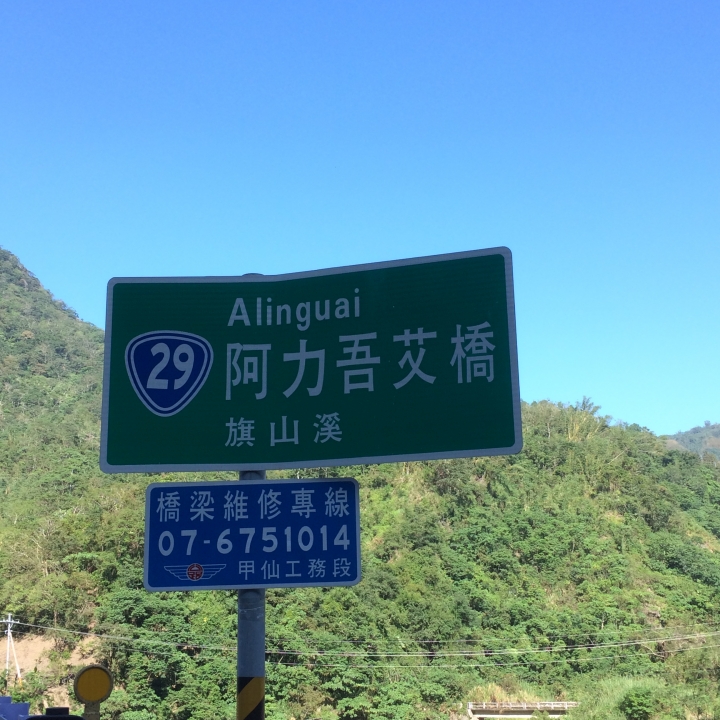 11/7、11/8阿里山 塔塔加,每次上阿里山回程都好累呀