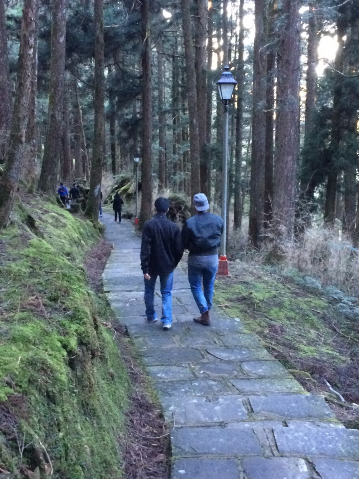 11/7、11/8阿里山 塔塔加,每次上阿里山回程都好累呀