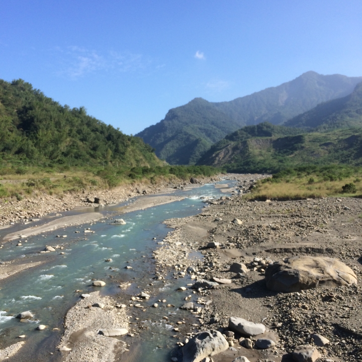 11/7、11/8阿里山 塔塔加,每次上阿里山回程都好累呀