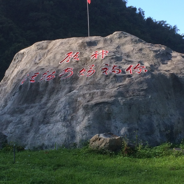11/7、11/8阿里山 塔塔加,每次上阿里山回程都好累呀