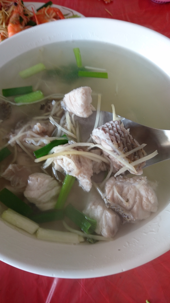 帶著Z5來趟雙東(屏東-台東)輕檔車之旅!