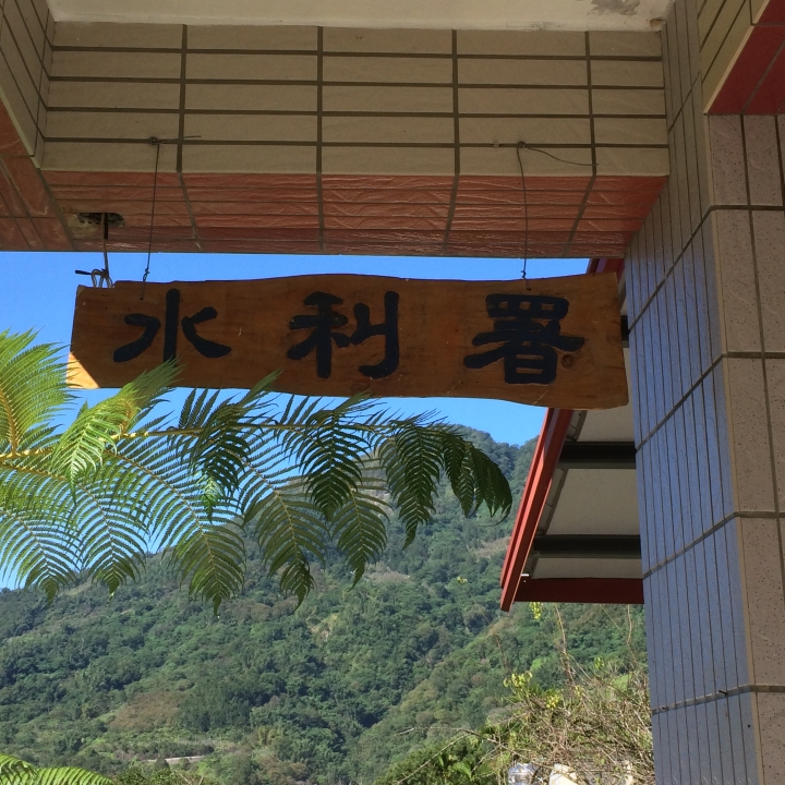 11/7、11/8阿里山 塔塔加,每次上阿里山回程都好累呀