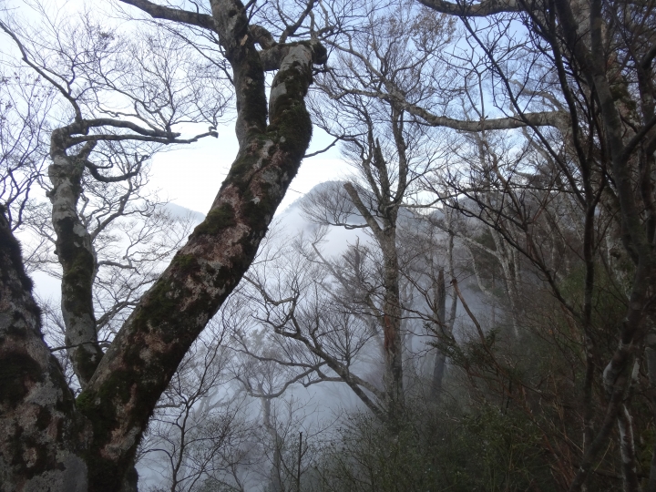 2015.11.04-05福壽山+太平山的追楓尋毛行(圖多請等候)
