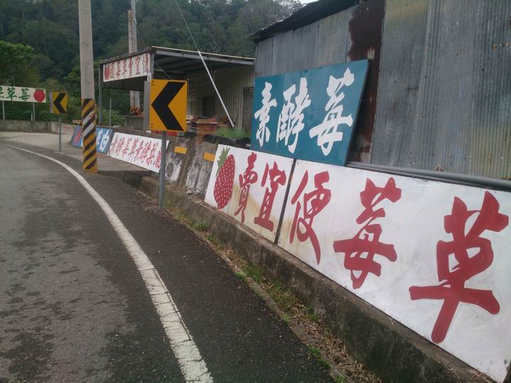 出發吧~~~苗栗仙山一日遊!
