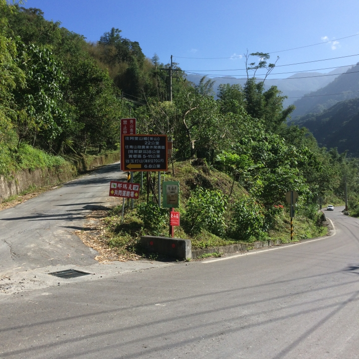 11/7、11/8阿里山 塔塔加,每次上阿里山回程都好累呀