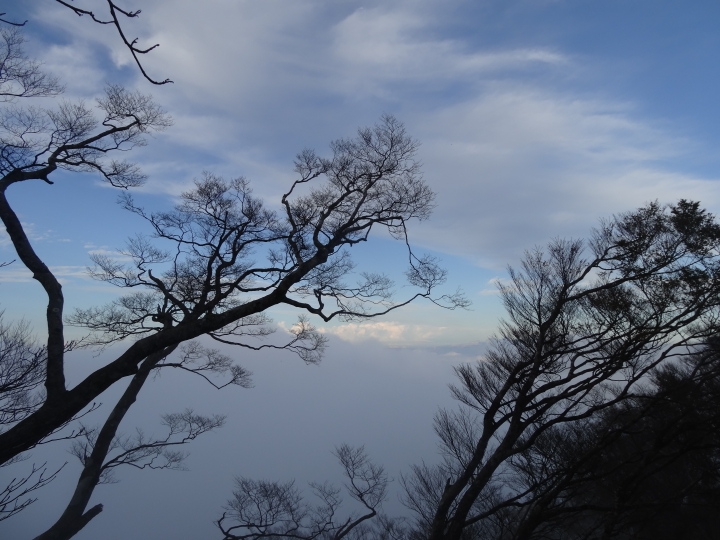 2015.11.04-05福壽山+太平山的追楓尋毛行(圖多請等候)