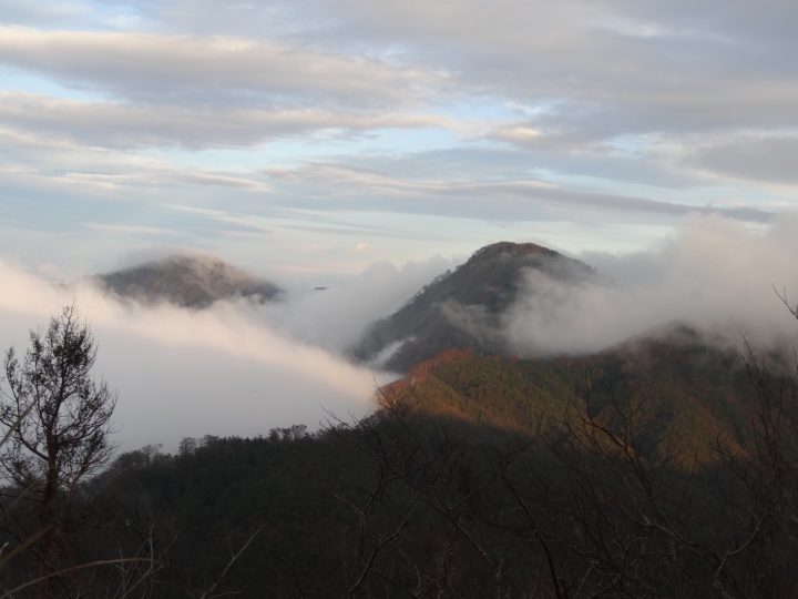 2015.11.04-05福壽山+太平山的追楓尋毛行(圖多請等候)