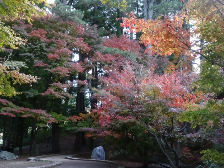 2015.11.04-05福壽山+太平山的追楓尋毛行(圖多請等候)