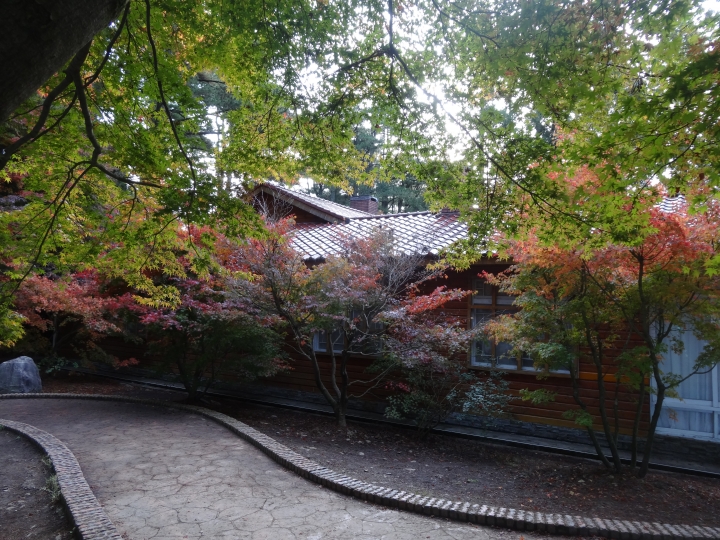 2015.11.04-05福壽山+太平山的追楓尋毛行(圖多請等候)
