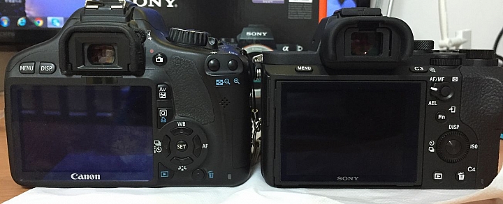 C頭S身 550D 換a7m2 心得分享