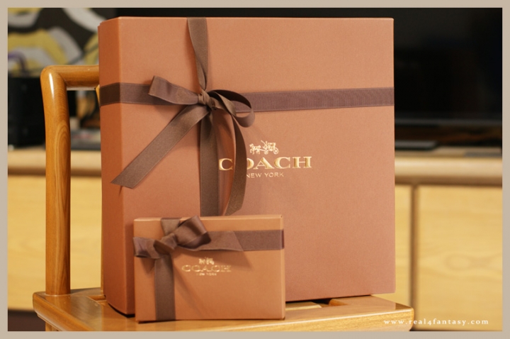 COACH 耶誕限定款 SWAGGER