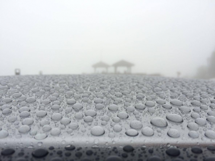 2015 年式 MAZDA 3 熱血鍍膜