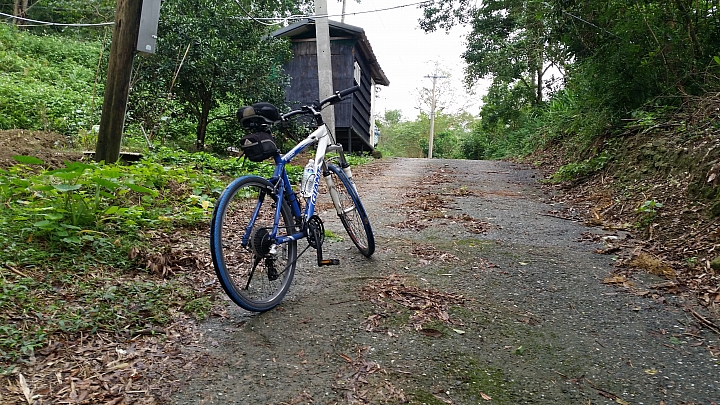 單車騎陡坡瘦的特別快我要挑戰這位大大的陡坡排行榜