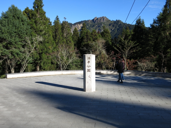 11/7、11/8阿里山 塔塔加,每次上阿里山回程都好累呀