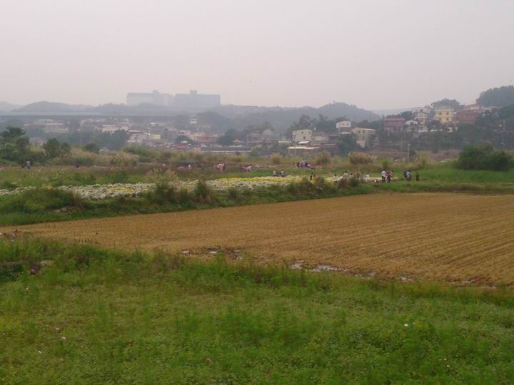 出發吧~~~苗栗仙山一日遊!