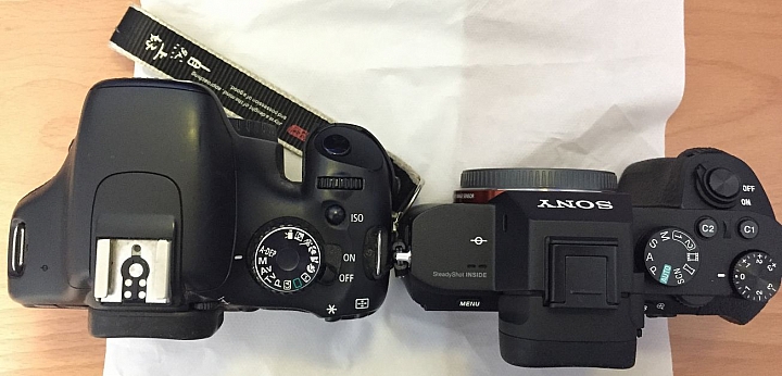 C頭S身 550D 換a7m2 心得分享
