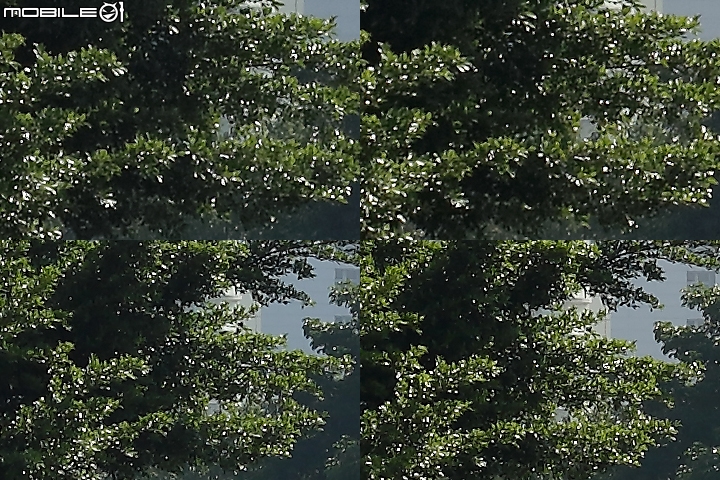 5Ds-5D3-EF50/1.4-EF851.2L-Otus55/1.4 APO-Otus85/1.4 APO二機四鏡暗黑大亂鬥