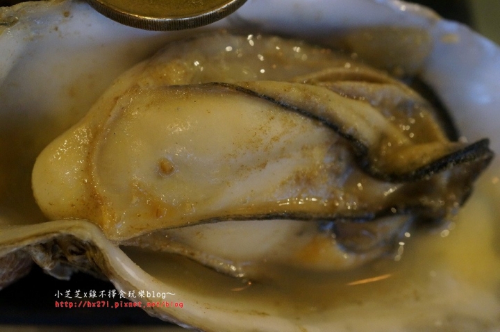 【台北美食】三重火鍋推薦 手掌大海鮮霸王虎蝦 起司牛奶鍋 品味日式涮涮鍋 手作蝦漿、芋頭丸子、土雞肉推薦 捷運三重國小站
