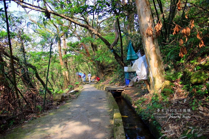 【旅遊】北海岸悠閒小建走 ─ 青山瀑布步道