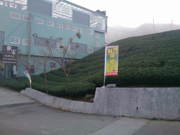 終於空出時間來騎車了………「彰化===竹山八卦茶園」……我是神經病????