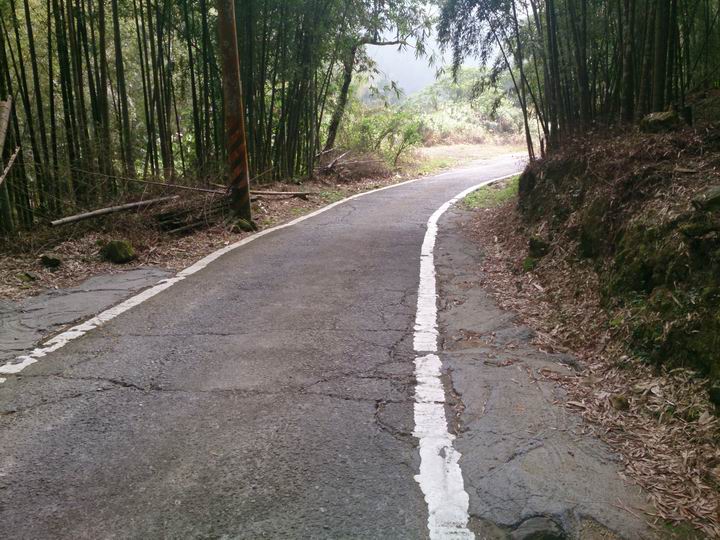 終於空出時間來騎車了………「彰化===竹山八卦茶園」……我是神經病????
