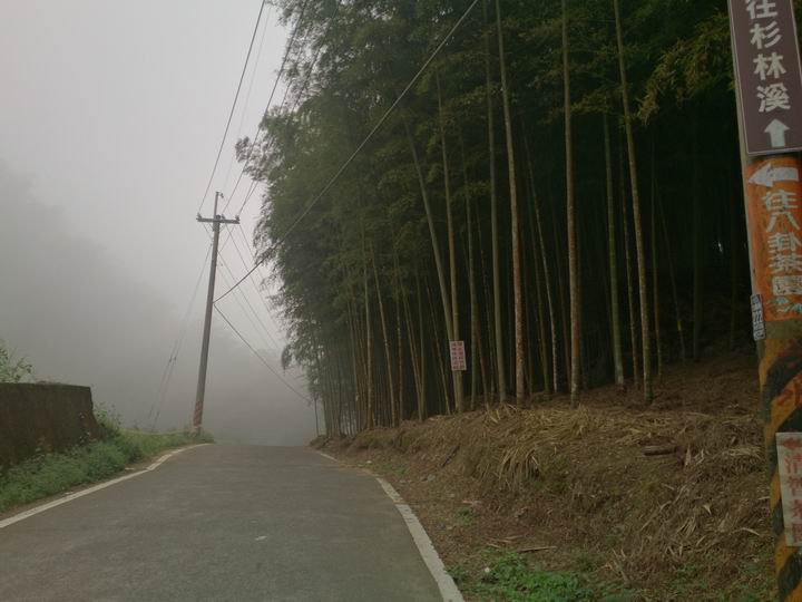 終於空出時間來騎車了………「彰化===竹山八卦茶園」……我是神經病????
