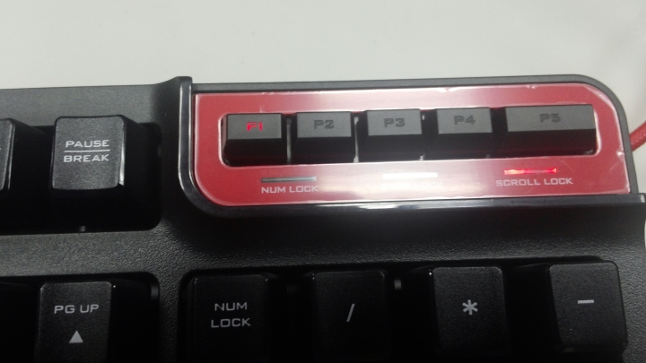 新購入ELECOM M-DUX70雙模MOUSE & KEYBOARD開箱