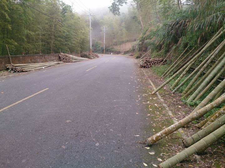 終於空出時間來騎車了………「彰化===竹山八卦茶園」……我是神經病????