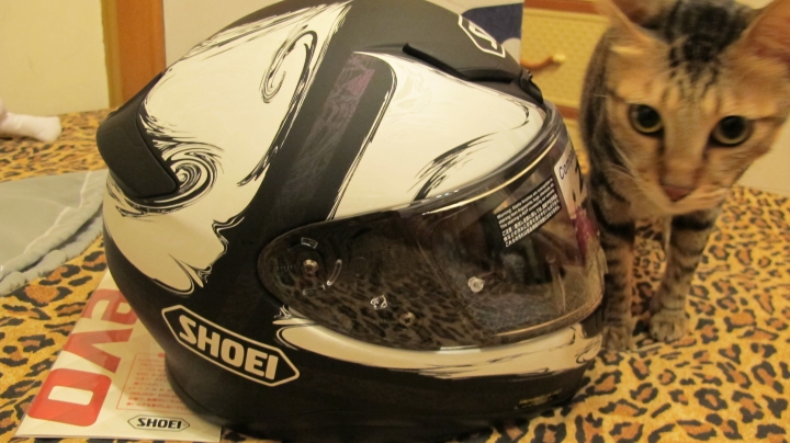 {開箱} SHOEI Z-7 SEELE 死神 人生第一頂進口帽