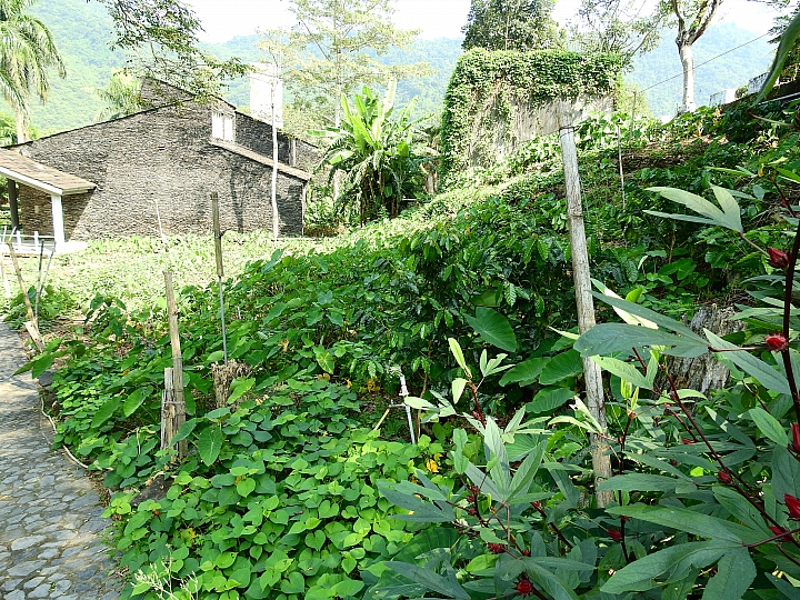 回到原始歲月,山地門的原住民村落,並期待12月26日山川琉璃吊橋免費開放3個月。