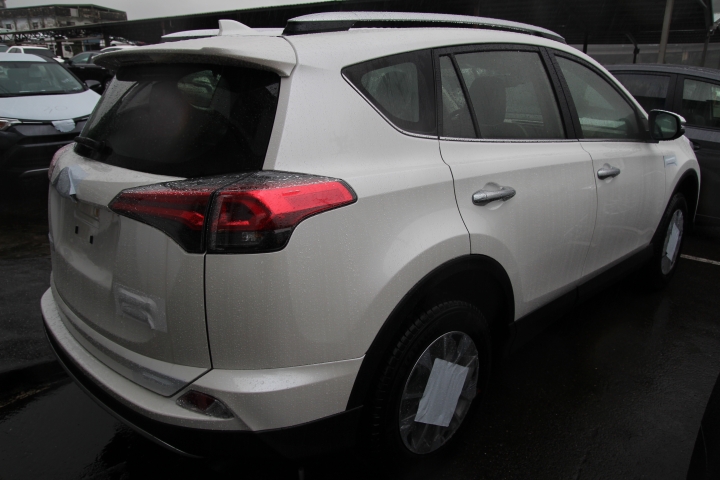 終於看到我訂的車RAV4旗艦4WD油電款(1/14更新)