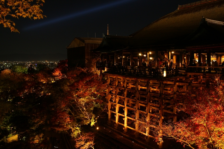 11/24~11/28京都賞楓