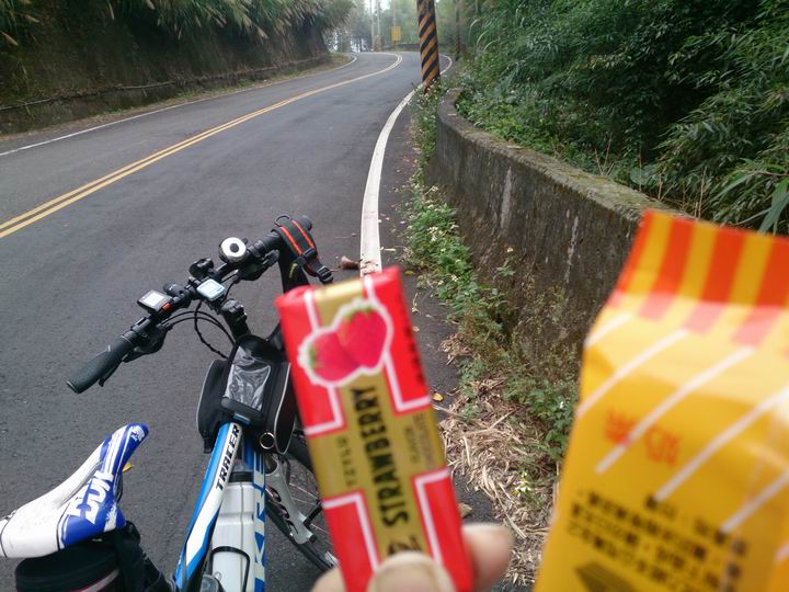 終於空出時間來騎車了………「彰化===竹山八卦茶園」……我是神經病????