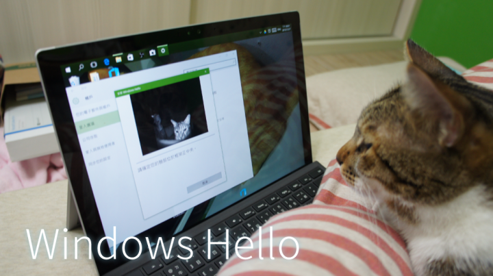 MicroSoft Surface Pro4 試用心得~