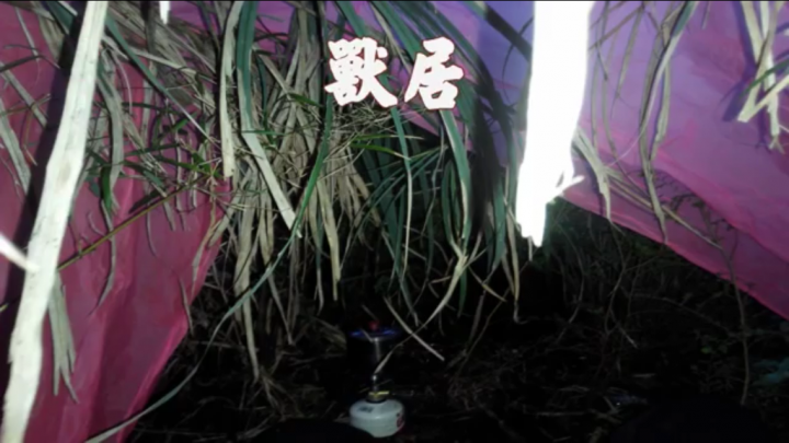 狗皮膏 ™ 災難自保學 & 野外求生學