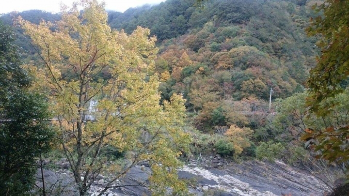 肥吱吱與綠胖胖之來去鎮西堡看楓葉(重機小旅行番外篇)